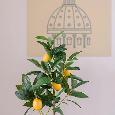 Delizioso In Zona Vaticano Apartamento *